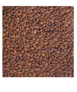 Seeds germinate - Cresson BIO, 100 g